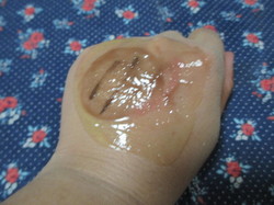 gel6.JPG