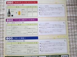 kouso3.JPG