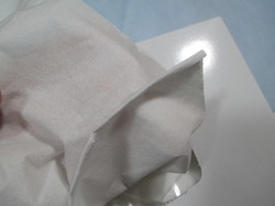 nepia4.JPG