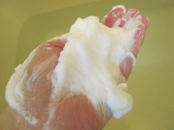 tule5.JPG
